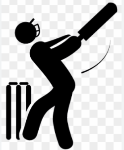 Cricket