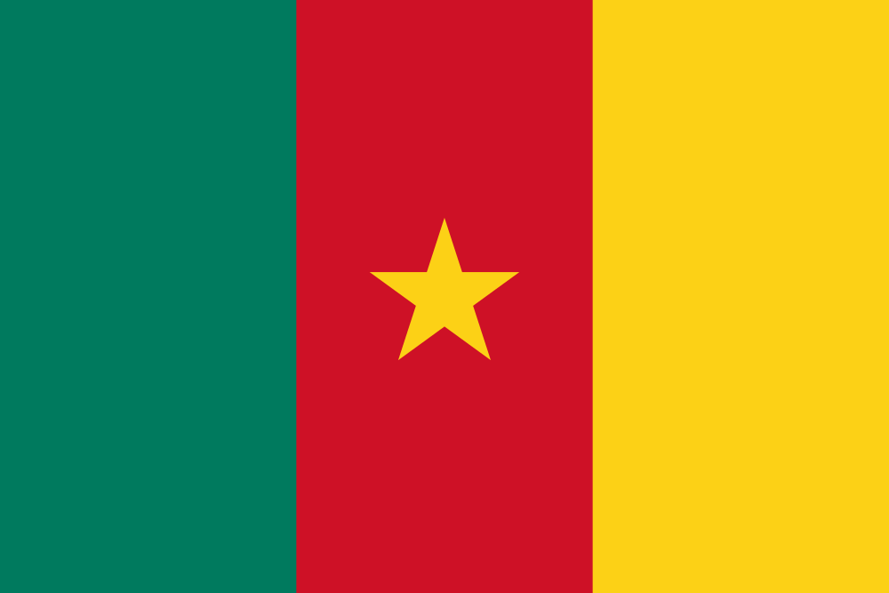 Cameroon flag