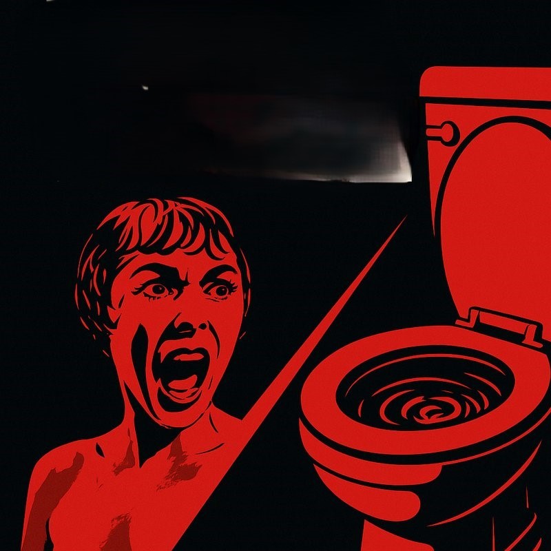 Psycho and the First Toilet Flush