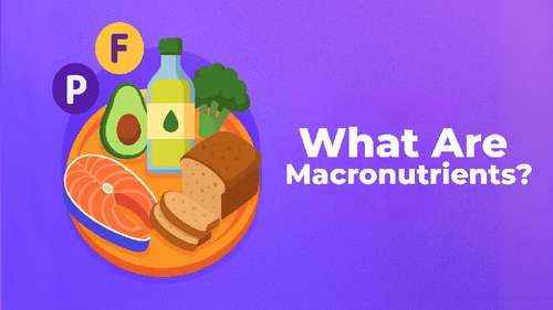What Are Macronutrients?