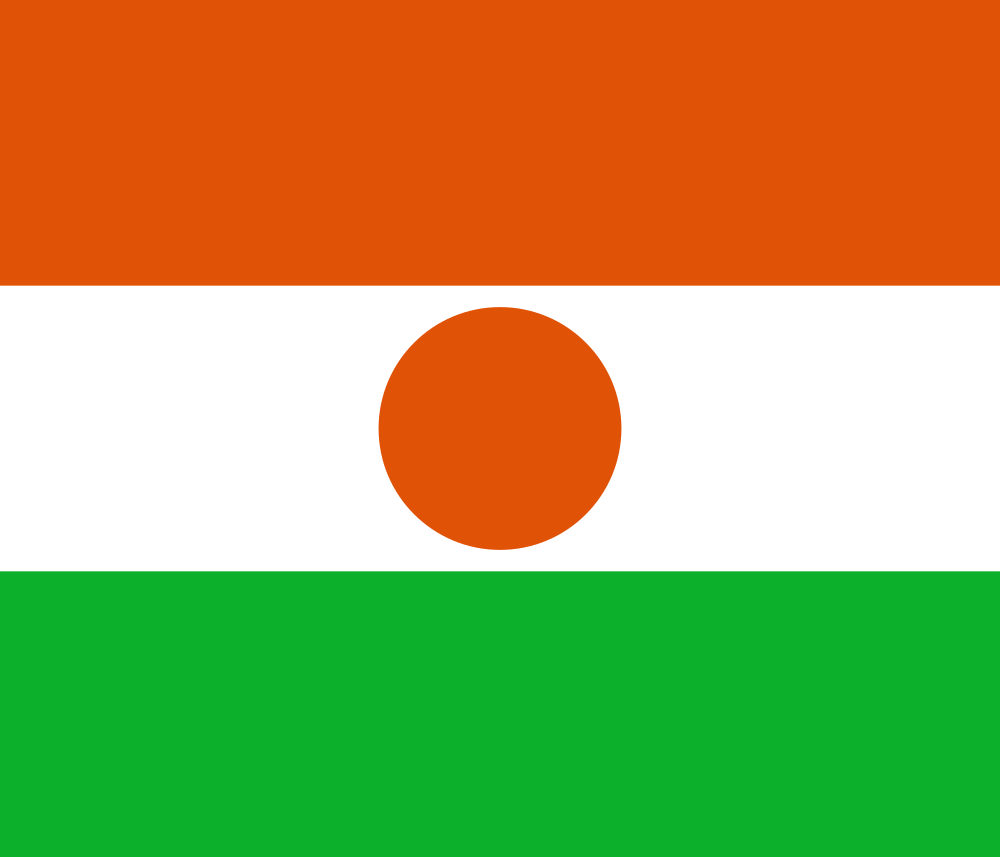 Niger flag