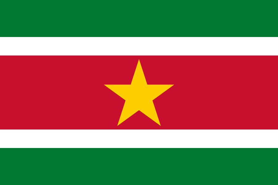 Suriname flag