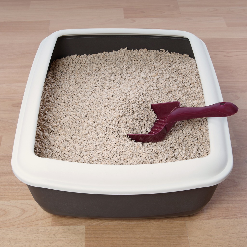 Cat litter box with scooping shovel