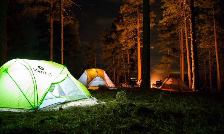 Campground, Camp, Tents, Explore, Adventure, Outdoor, Plant, Pottery, Potted Plant, Mountain Tent, Yew, Conifer